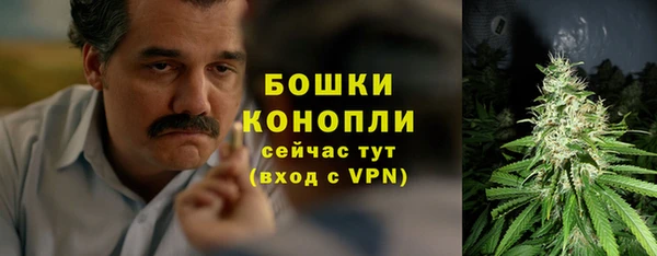 крисы Бронницы