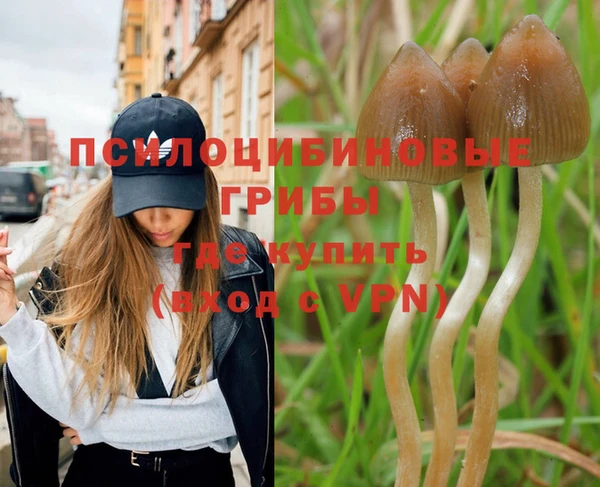 героин Бородино