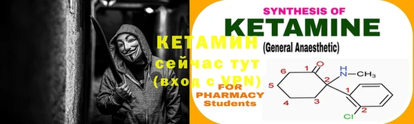 крисы Бронницы