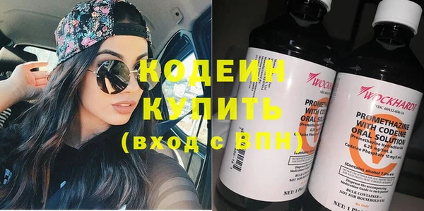 крисы Бронницы
