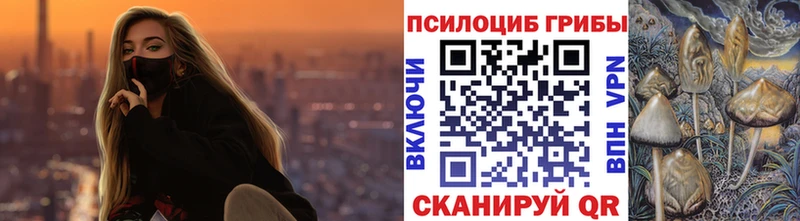 Галлюциногенные грибы Psilocybe  hydra ONION  Мичуринск  даркнет сайт 
